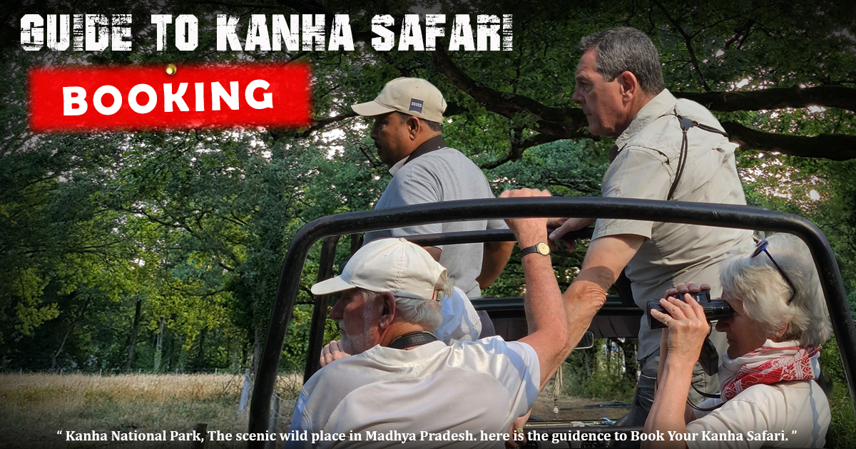 Guide To Kanha Safari Booking